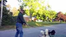 How to Walk 3 Siberian Huskies with ROLLER BLADES!