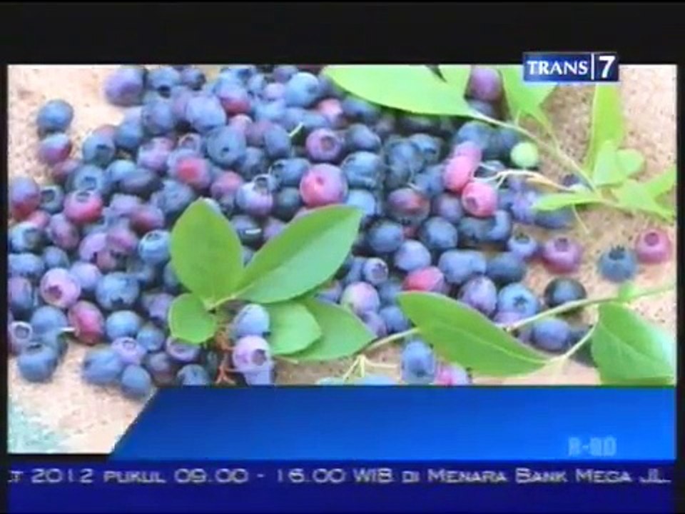 Buah-Buahan yang Bermanfaat Mencegah Kanker - Spotlite Trans 7