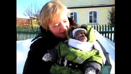 The 2013 Clip of the Year | Jimmy Kimmel Live