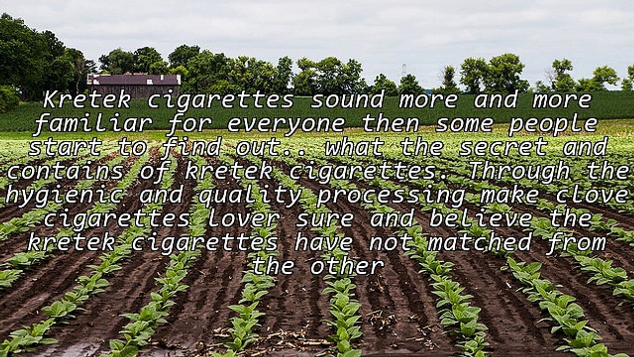 Kretek Clove Cigarettes from Indonesian