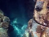 Freediving Hawaii Caves