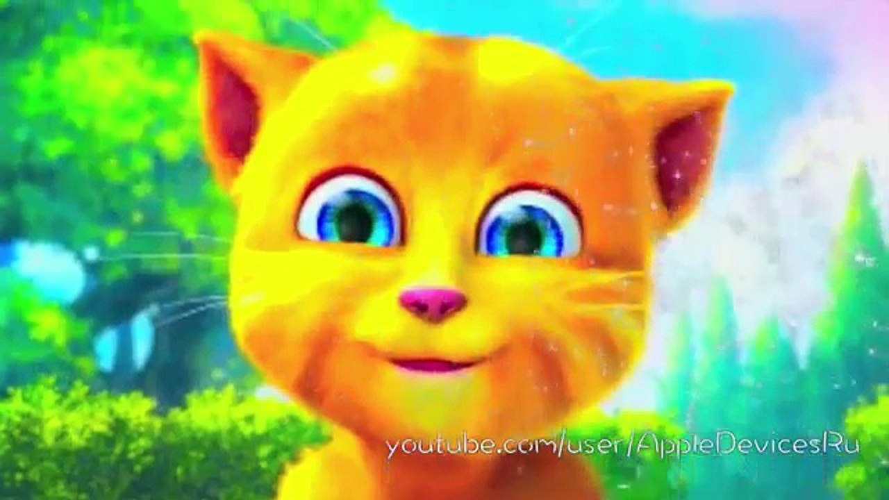 Смешной котенок, кот Рыжик   Funny Ginger Cat...