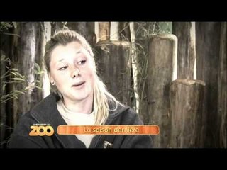 Une saison au zoo - Episode 17 (Saison 2)