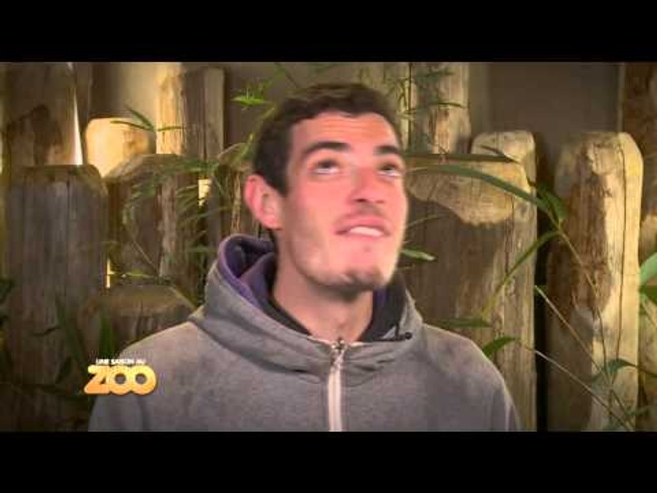 Yanis kiffe les otaries - S03E20