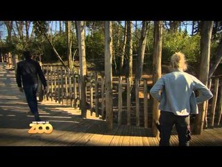 L'évasion des lémuriens - S03E28