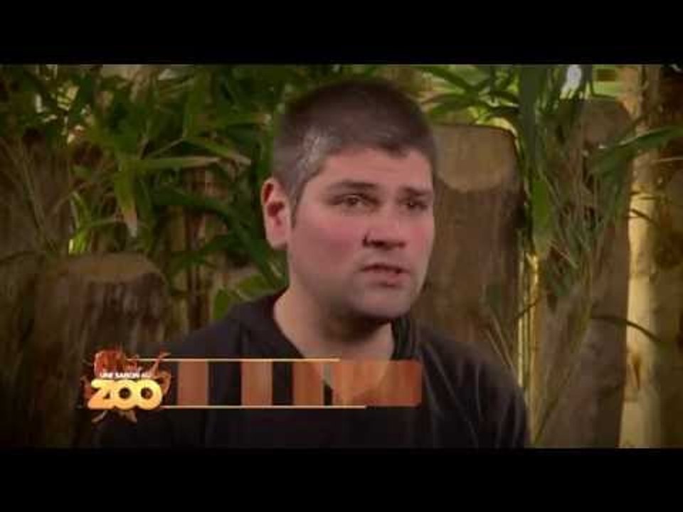 Kangourous : attrapez-les tous ! - S03E05
