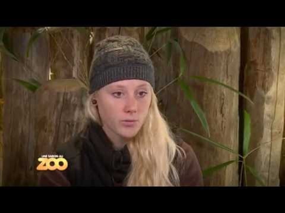 Le speed-dating des girafes - S03E14