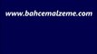 kısa boylu çim,büyümeyen çim,yayılıcı çim,ak üçgül tohumları,TRİFOLİUM REPENS,üçgül fiyatı,üçgül fiyatları,ak üçgül fiyatı,ak üçgül fiyatlar