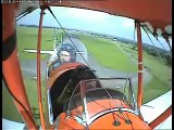 Tigermoth hits a cow during landing on a field