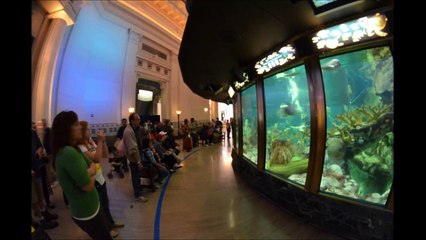 Get Best Views of the Chicago City with Great Internship Opportunities