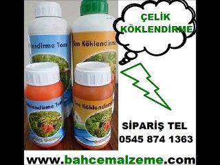 Çelik köklendirme hormonu nasıl kullanılır, Kullanıma Hazır indol bütirik asit satış fiyatları, Gül köklendirme hormonu satışı