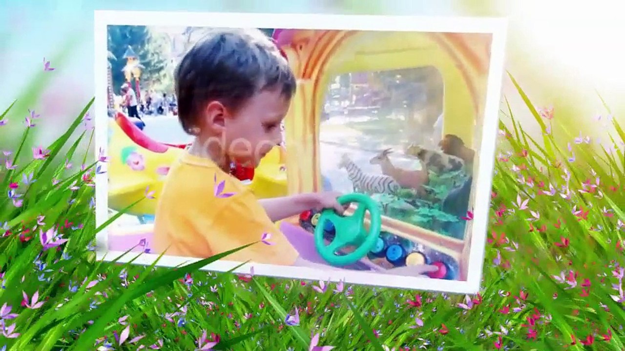 After Effects Project Files - Photo Gallery in a Sunny Fresh Day - VideoHive 8739224