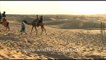 Sam Sand Dunes - Camel Safari