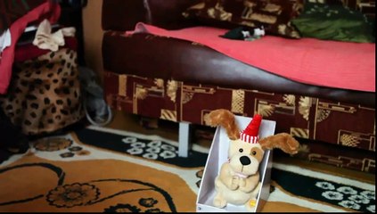 Funny Dog Sings Along!