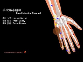 手太阳小肠经 Small Intestine Channel