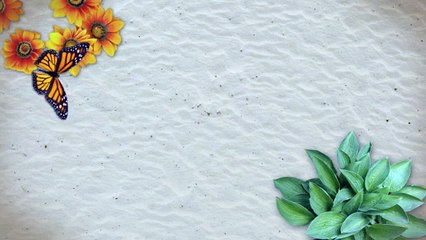 Love psychic Readings