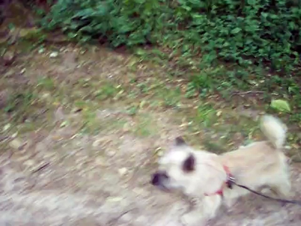 Balade au parc 2