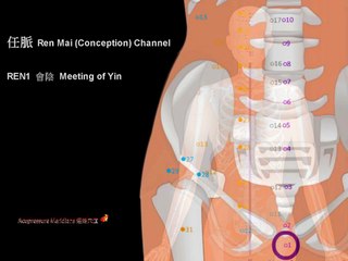 任脉 Ren Mai (Conception) Channel