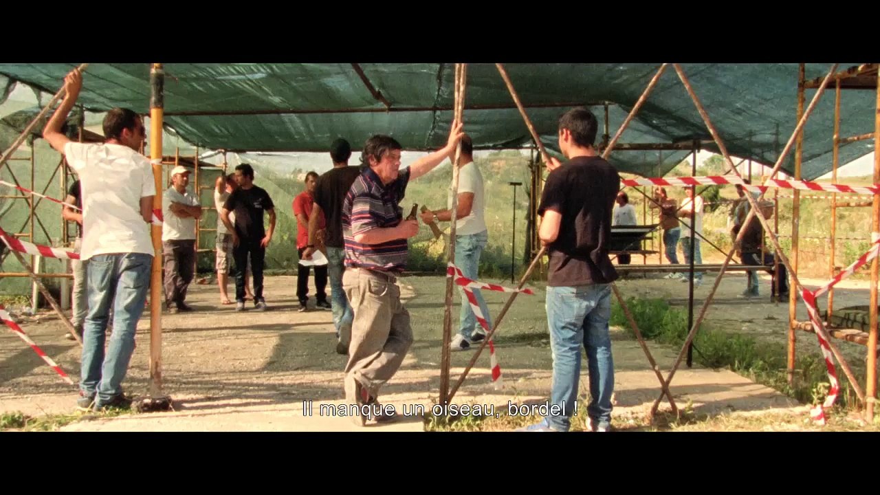 LES MILLE ET UNE NUITS VOLUME 2, LE DÉSOLÉ - Bande-annonce VO