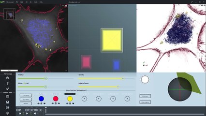Getting Started with STEVE: Your Guide to Exploring Cell Data 📊