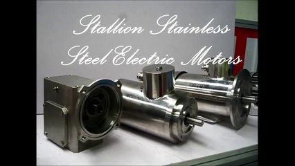 Stallion Stainless Steel Electric Motors and Gearbox
