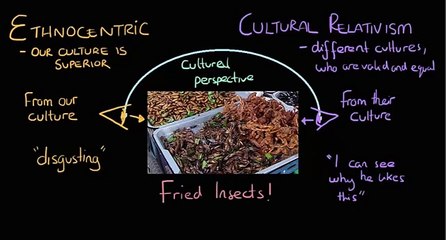 Ethnocentrism and cultural relativism in group and out group