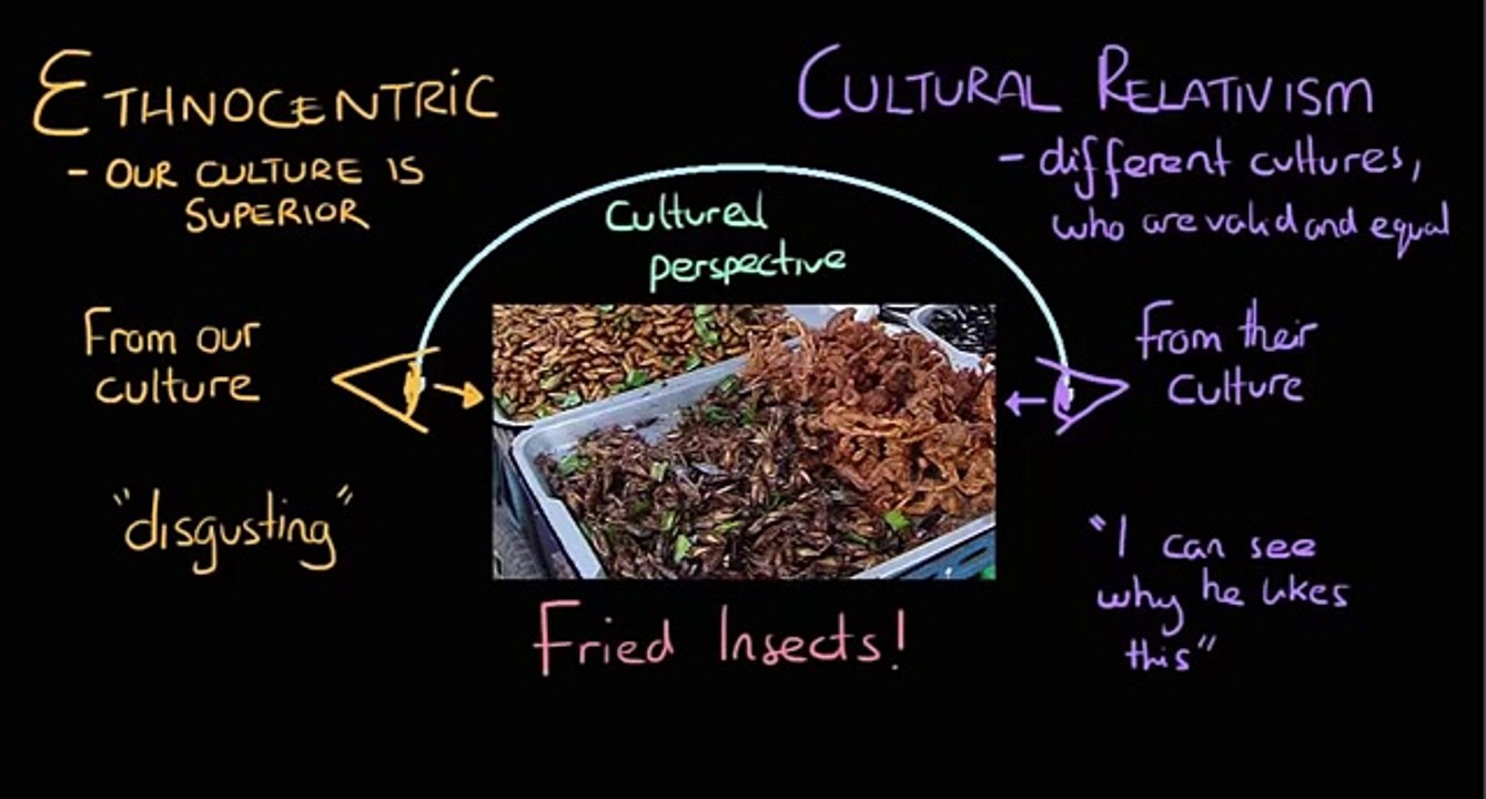 Ethnocentrism and cultural relativism in group and out group