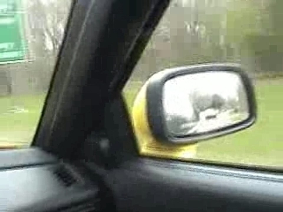 Vw Corrado G60 Vs Golf R32