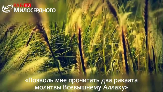 Ангелы состязались в том, чтобы спасти его ᴴᴰ