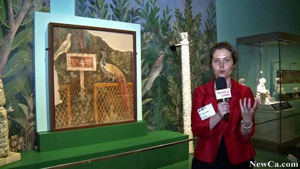 NewCa.com: 2015 ROM: Pompeii In the Shadow of the Volcano