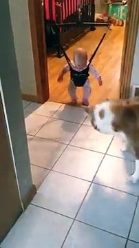 Köpek Bebeğe Yürümeyi Öğretiyor