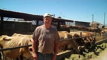 Life In a Day of a Dairy Farm Family