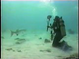 Diving with Barracuda Grand Cayman 1998