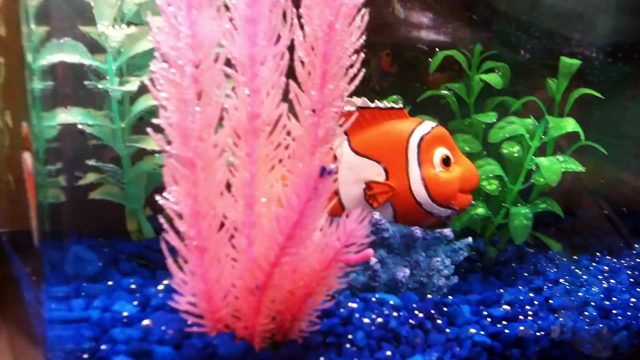 Finding Nemo Big Eye Aquarium Kit from PETCO