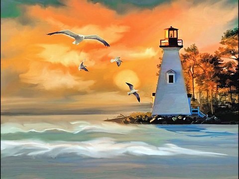 IL GUARDIANO DEL FARO - Il gabbiano infelice