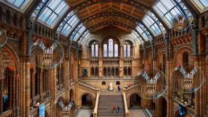 Musée d'Histoire Naturelle de Londres