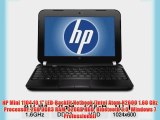 HP Mini 1104 10.1 LED-Backlit Netbook (Intel Atom N2600 1.60 GHz Processor 2GB DDR3 RAM 320GB