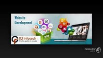 IQ Infotech  Website Designing And Development Company Delhi NCR India