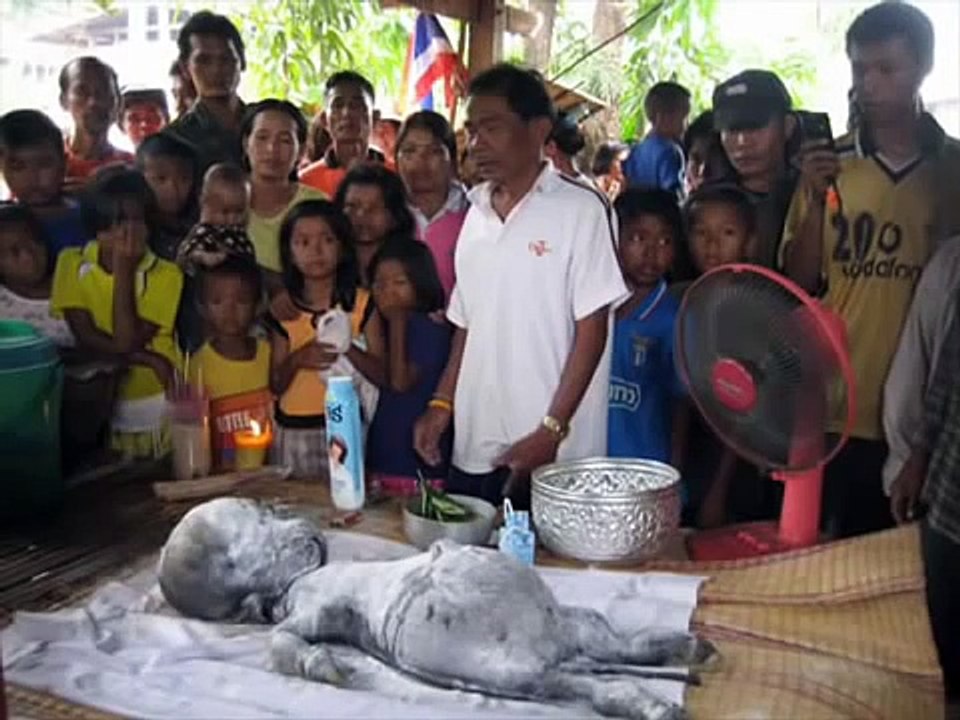 Kinh hãi trâu đẻ ra người ở Thái Lan
