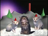 Katten die kerstliedjes zingen