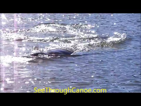 Manatee Charge See Through Canoe 2 Person Clear Kayak