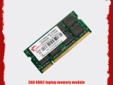2GB G.Skill DDR2 SO-DIMM PC2-5300 (667MHz) laptop memory module
