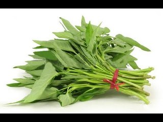 Anwar Ibrahim: Politik Kangkung Di Malaysia