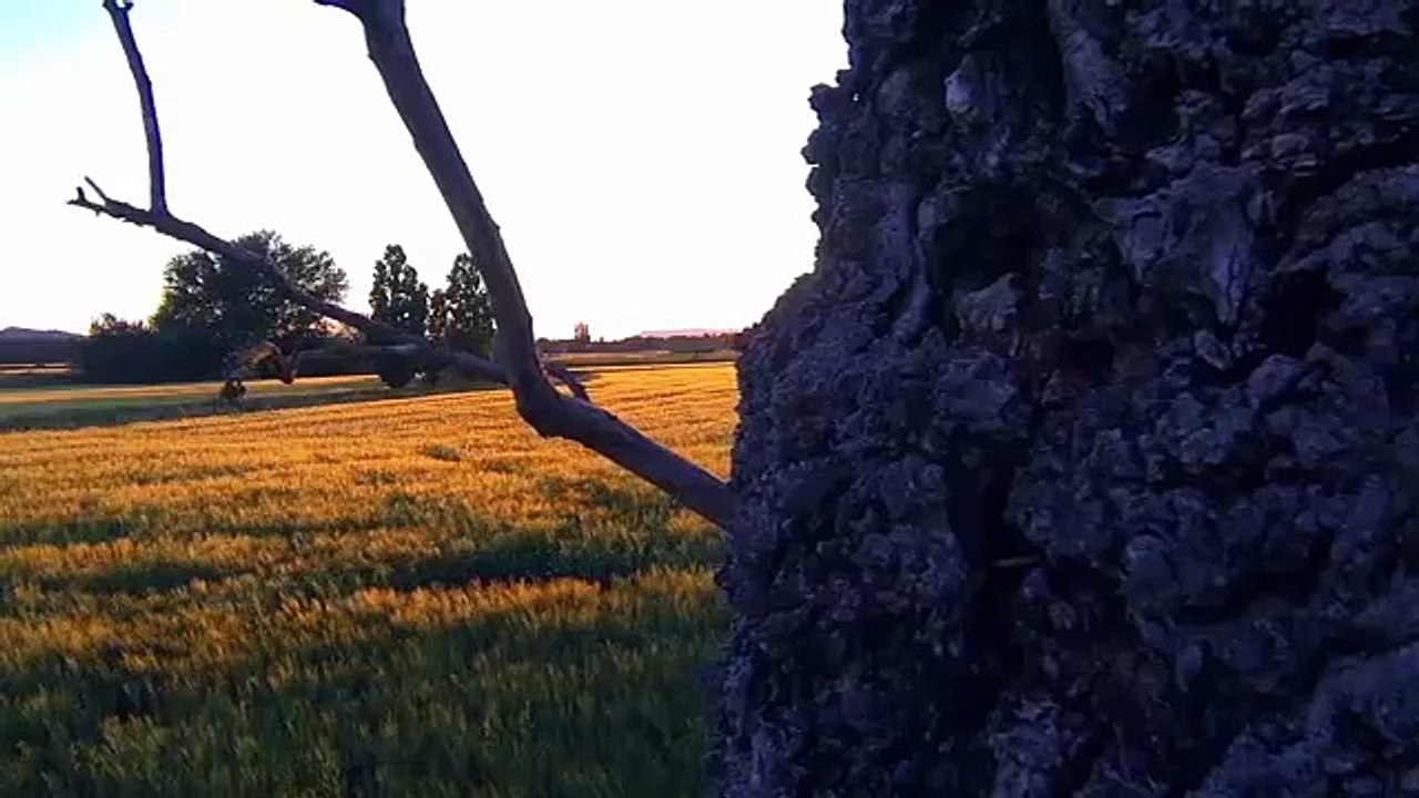 Kumanova - Protesto Shqip