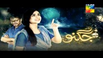 Jugnoo Episode 10 Promo HUM TV DRAMA 12 June 2015