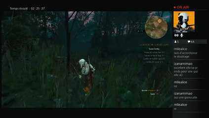 2015-06-07 Live The Witcher III part 6