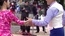 海外進出会 「秦野桜まつり」ステージ 生け花とダンスのコラボレーション