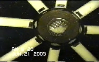 Social Memory in Radial Arm Maze: Brown, Farley, & Lorek (2007)