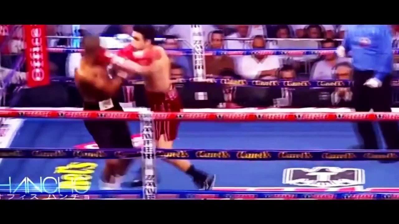Top 30 Best Knockouts