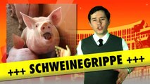 Schweinegrippe